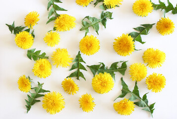 Yellow spring flower dandelion isolated on white background. Easter card with space for your greetings.