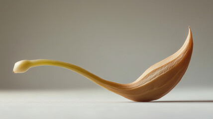 A close-up sprout with side lighting on a gray background. Generated by artificial intelligence.