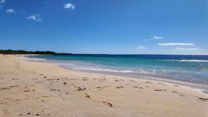 Exploring the beach in Maui 