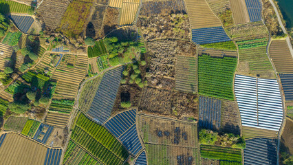 Fototapeta premium Aerial photography of rural farmland