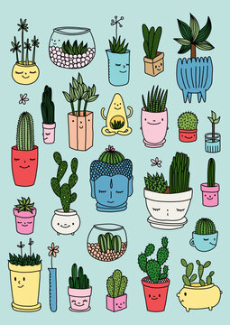 Cute Potted Plants and Cactus Illustration