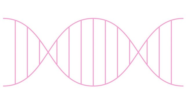Animated line pink icon of gene. Linear medical symbol is drawn. Concept of DNA, genetics, medicine, genetic engineering. Looped video. Vector illustration isolated on white background.