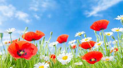 Obraz premium A field of red poppies swaying in the breeze under a clear blue sky, creating a peaceful and scenic landscape, evoking feelings of tranquility and natural beauty.