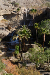 waterfall in the mountains