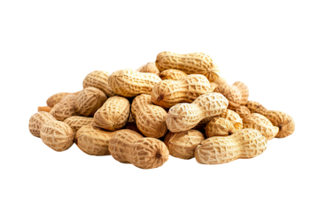 Peanut nuts transparent PNG isolated background. Healthy superfood nut snack. Peanuts, nutritious, natural, crunchy, organic food, cooking ingredient, vitamin mineral source