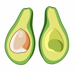 Vector graphic illustration of two halves of a split avocado fruit, one with seed and one without seed isolated on white background. Symbolizes healthy food, fresh produce and versatile fruit.