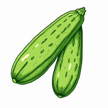 green zucchini vegetables on white background clip art preview