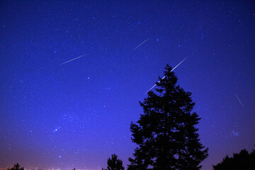 Milky Way stars with meteor shower trails and scountryside tree