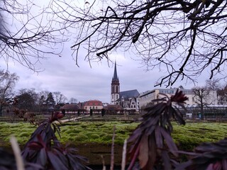 Garden with pathway leading to church, tall steeple, surrounded by buildings, bare tree branches,...