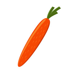 Easter Carrot Fresh Vector Illustration
