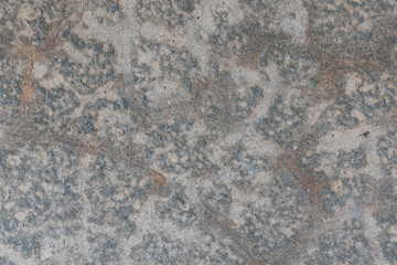 Texture of grey concrete wall for background.	
