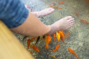Natural Pedicure Fish Foot Bath Spa at Outdoor Wellness Center