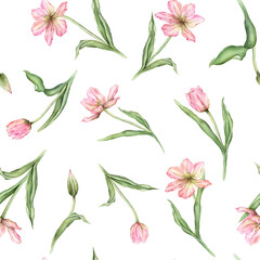 Seamless pattern of pastel pink light violet yellow bud Tulips watercolor illustration isolated on background. Hand drawn delicate spring perennial bulbous flower for spring wedding repeat design