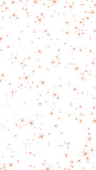 spring cherry flowers blossoms falling on transparent background, png Japanese cherry blossom and petals isolated design element	