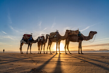 Views around Essaouira a port town in Morocco Sunset