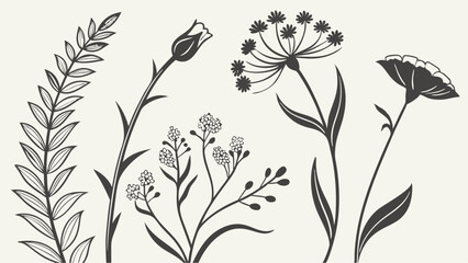Fototapeta premium Botanical illustration, black and white ink drawings, wildflowers and plants, delicate line work, minimalist floral sketches, nature study, hand-drawn flora, vintage botanical print style, simple 