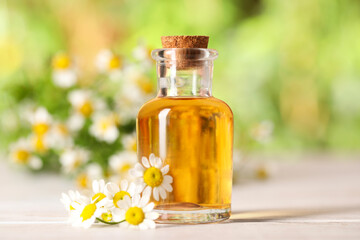 Bottle of essential oil and chamomile flowers on white wooden table against blurred background, closeup