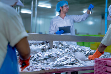 A factory worker in protective gear inspects seafood in a cold storage facility. The image represents food processing, quality assurance, hygiene, and industrial seafood manufacturing.