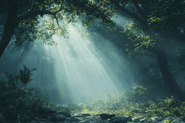 Obraz premium Sunbeams pierce a mystical forest, illuminating a tranquil stream and rocky path.