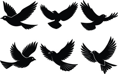 Fototapeta premium vintage flying bird silhouette set, drawing birds black silhouette