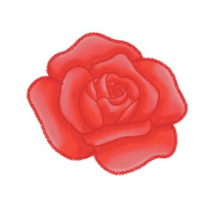 red rose petals
rose petals on white background
rose petals isolated on white