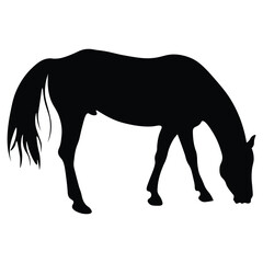 silhouette of a horse racing animal vector illustration