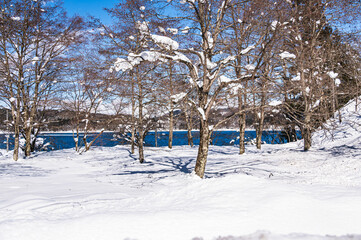 雪の青木湖　大町市