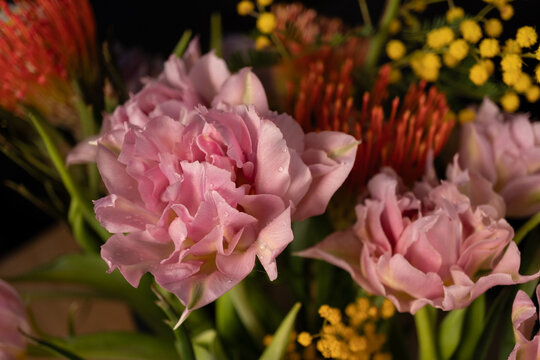 pink tulips in the bouquet, floral closeup 