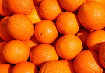 Background of large ripe orange oranges freshly picked from the citrus grove in the Mediterranean country