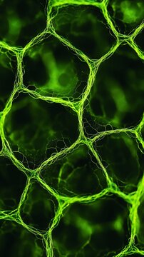 Microscopic view of glowing green neural networks or biological cell structures forming intricate interconnected patterns against dark background, scientific research concept