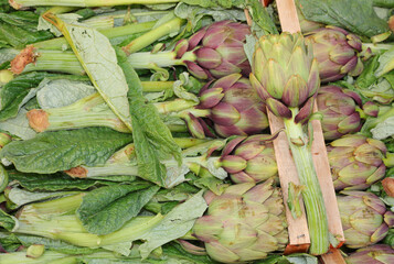 Green artichokes for sale in crates at the local farmers market