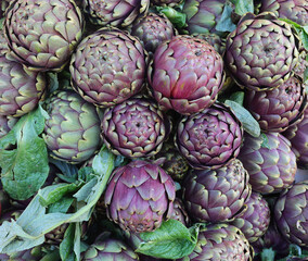 many ripe artichokes for sale at the market called MAMME in Italian