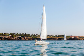 Scenic View of Sailboats on Calm Waters Near a Coastal Town