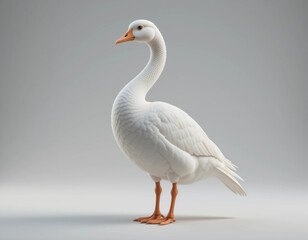 Obraz premium Quacking Joy: Duck