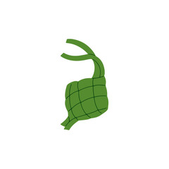 ketupat illustrations