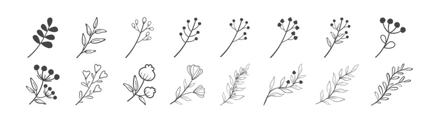Floral collection in line art style. Hand drawn flower and leaf decorative elements. Vector illustration set of flowers and leaves