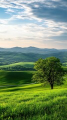 Fototapeta premium Radiant sun rays illuminate a lush green meadow with distant mountains and a small village against a clear blue sky