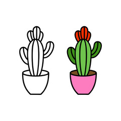 Cactus vector illustration