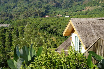 The house among mountain background