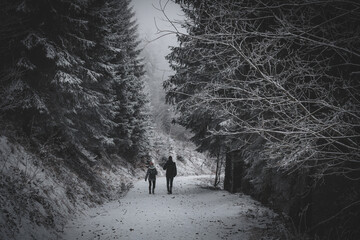 frozen trees and winter landscape covered in snow and fog when hiking in czech mountains