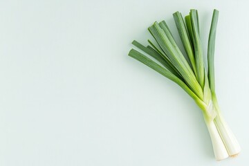 minimalist photo of fresh leek resting diagonally on pristine white surface with soft natural lighting and wide copy