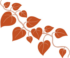 ivy plant drawing illustration.