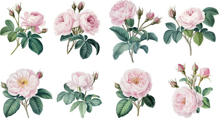 Watercolor Blue Floral Bouquet Collection. Watercolor set of garden flowers hand drawn illustration.