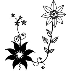 black and white flower