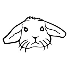 Little Rabbit Bunny Rodent Sits Cute Friendly Cool Design Lover Art Vector Illustration Card T-Shirt Poster Sticker Graphic Print Decorative Drawing Isolated Logo Decoration Symbol Creative Cool Style