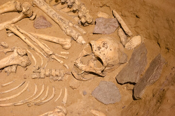 skull, human, primeval, ancient times, humanoid, background, whi