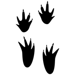 crocodile footprint, Crocodile foot print with nails.