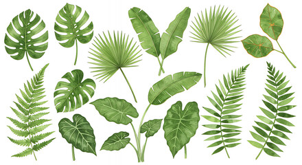 A collection of fifteen unique tropical botanical leaves, each isolated on a pure white background.