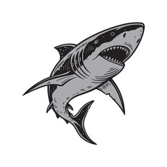 Obraz premium Shark vector illustration