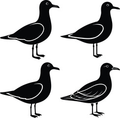 Seagull Silhouette Vector Icon Set Ideal for Branding & Nature Art.